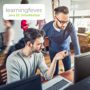 Java EE Ontwikkelaar